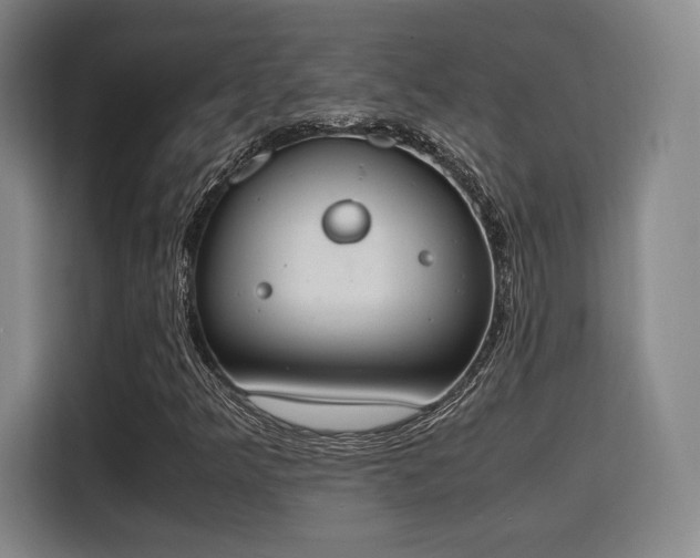 X0000115761349200911201150