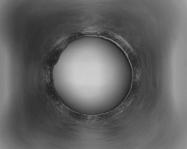 X0000115761350200911201150