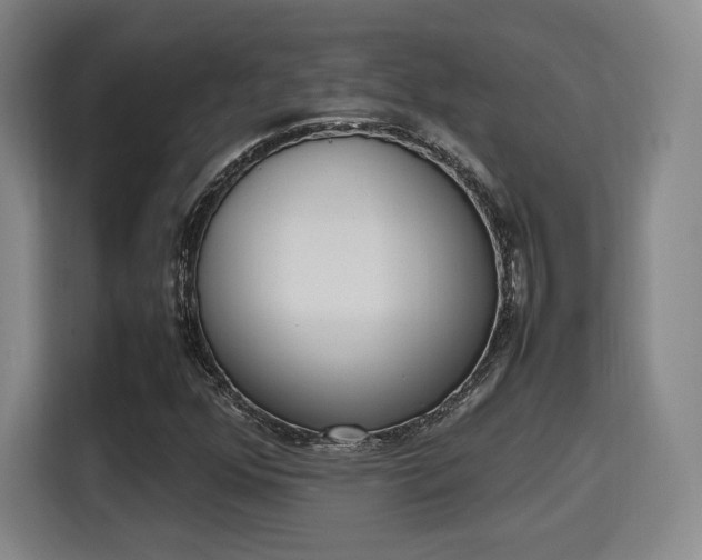 X0000115761352200911201150
