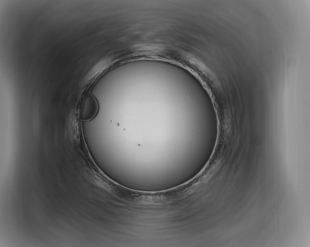 X0000115761354200911201150