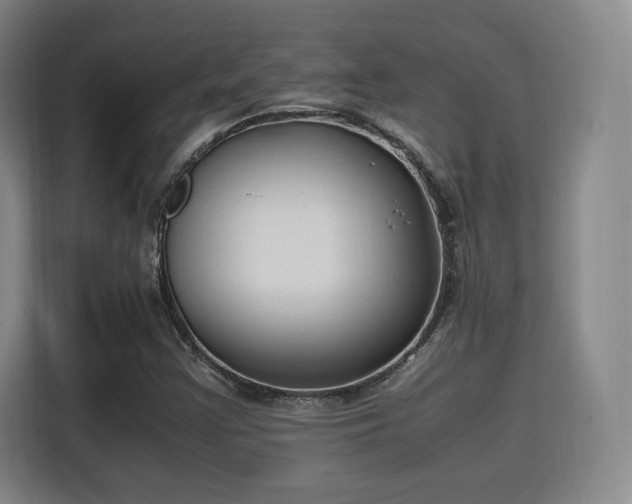 X0000115761355200911201150