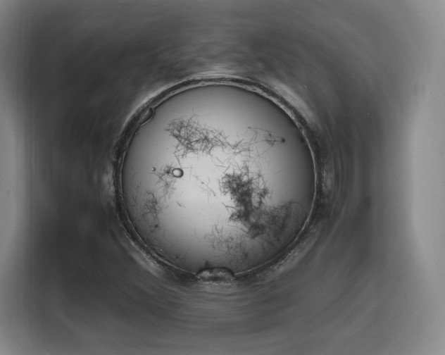 X0000115761356200911201150