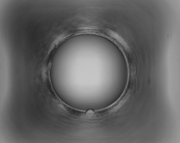 X0000115761357200911201149