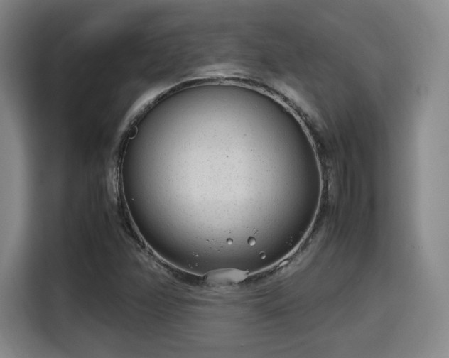 X0000115761358200911201149
