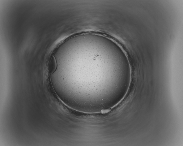 X0000115761359200911201149
