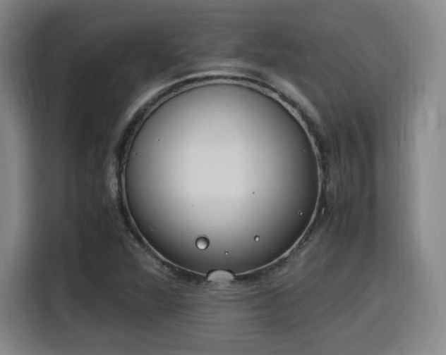 X0000115761360200911201149