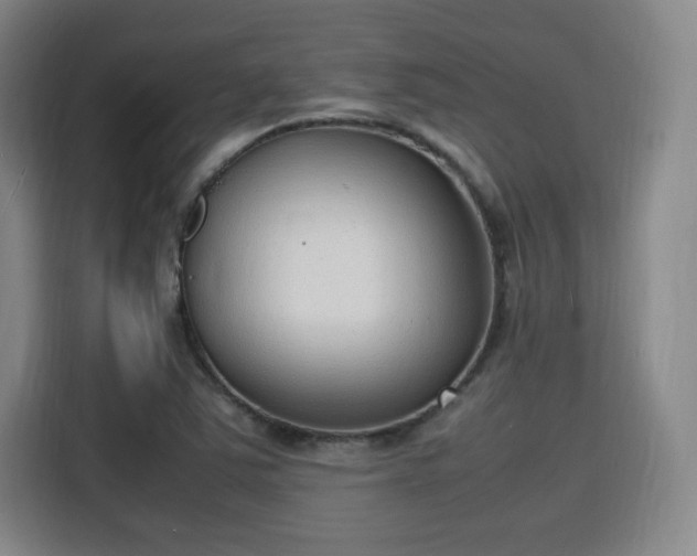 X0000115761363200911201149