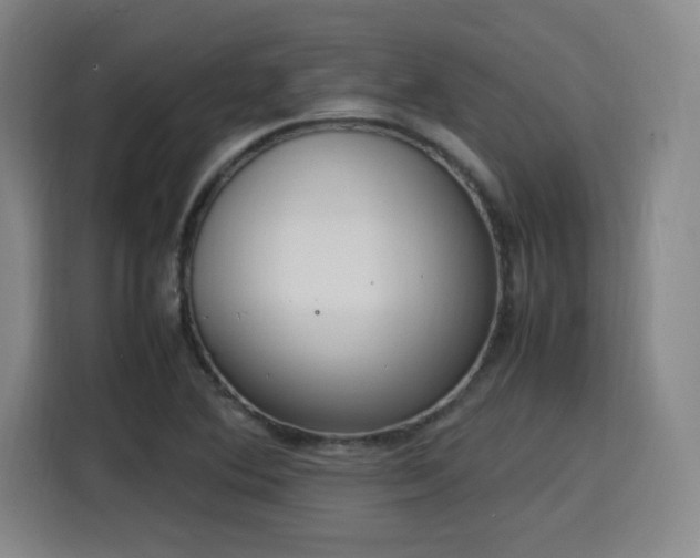 X0000115761364200911201149