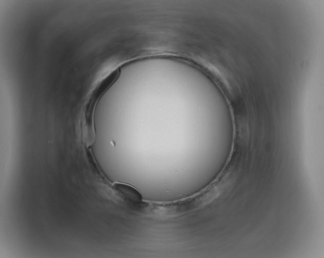 X0000115761365200911201149
