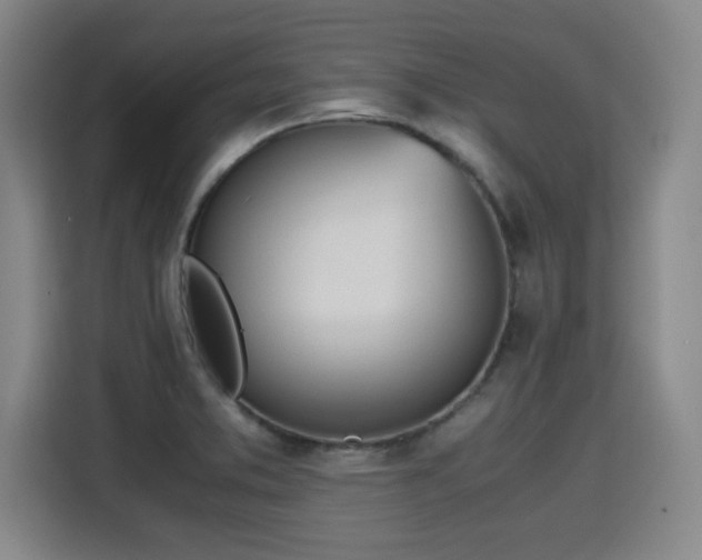 X0000115761373200911201149