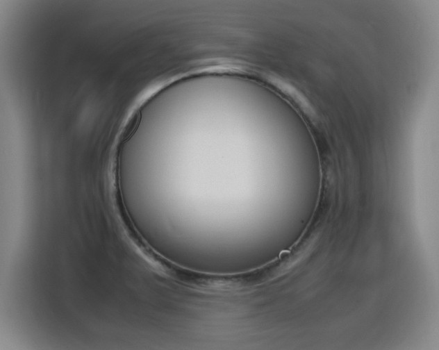 X0000115761375200911201149