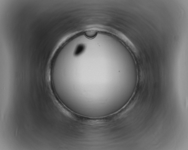 X0000115761376200911201149
