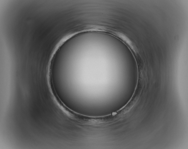 X0000115761379200911201149