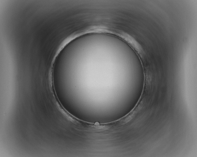 X0000115761382200911201149