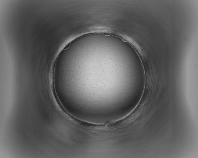X0000115761383200911201149