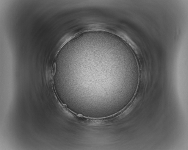 X0000115761385200911201149