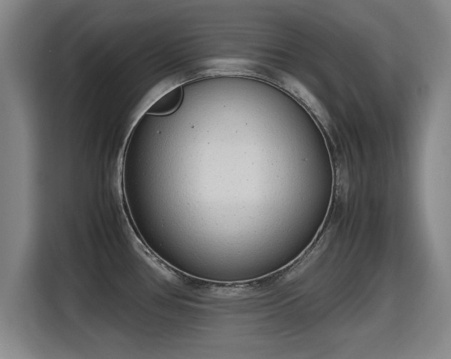 X0000115761386200911201149