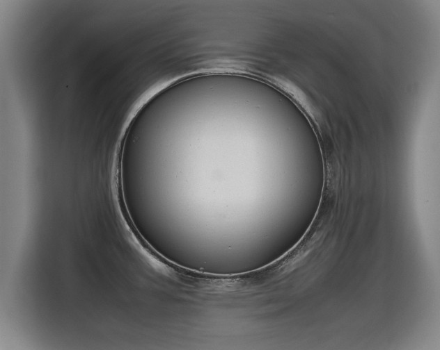 X0000115761387200911201149