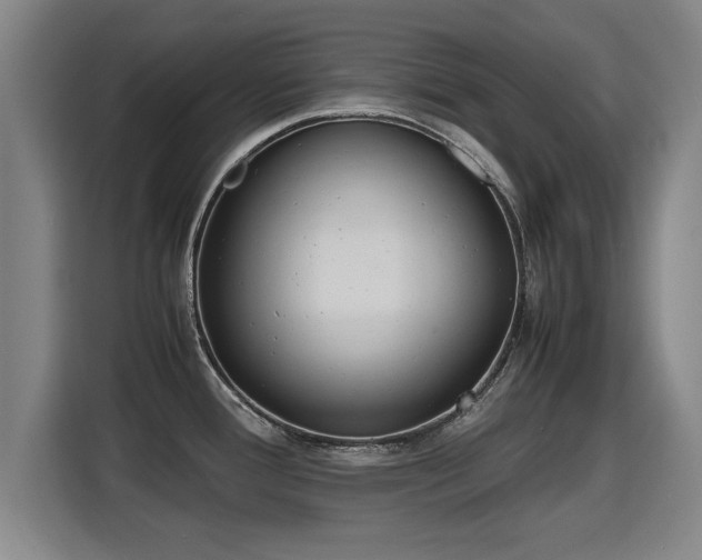 X0000115761388200911201149