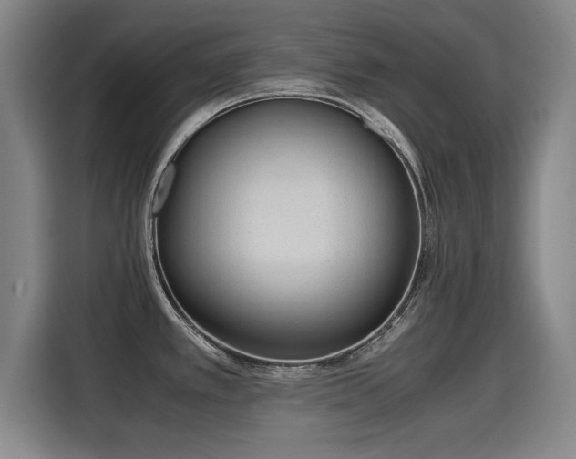 X0000115761389200911201149