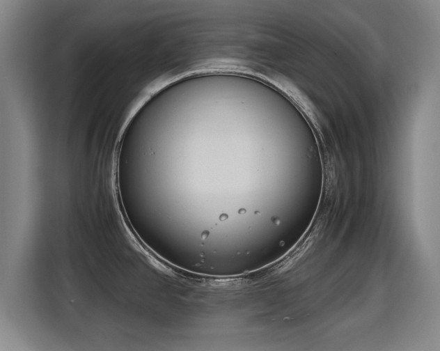 X0000115761390200911201149