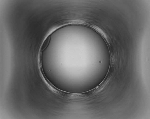 X0000115761391200911201149