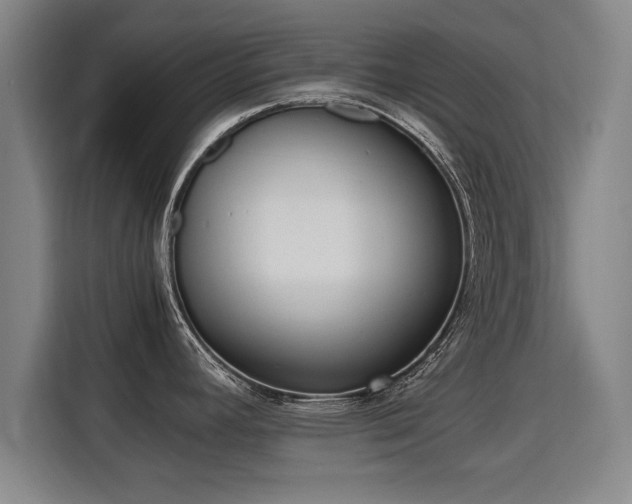 X0000115761392200911201149