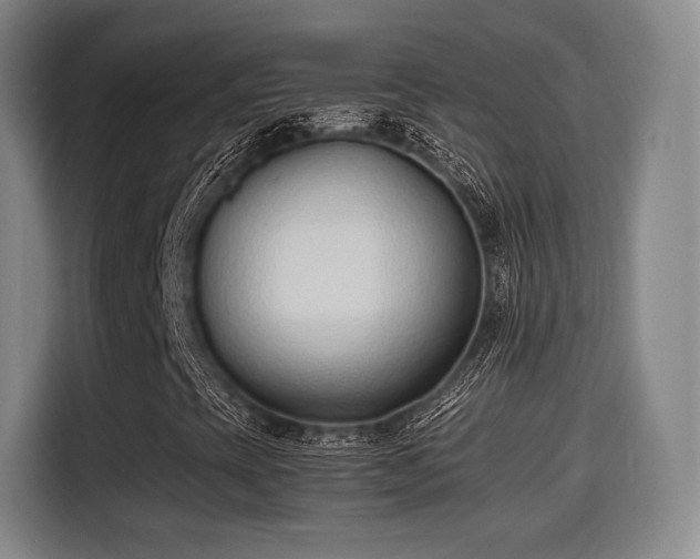 X0000115761393200911201148