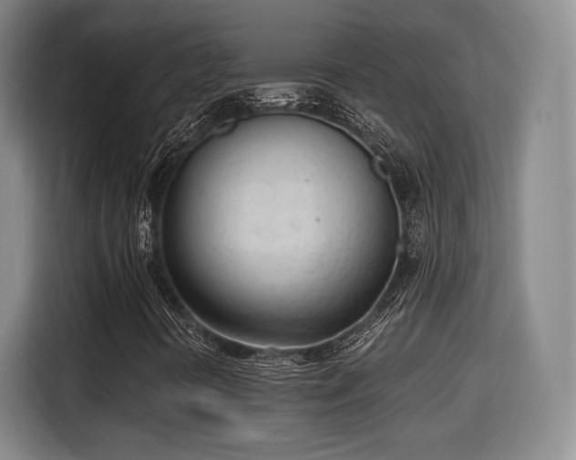 X0000115761394200911201148