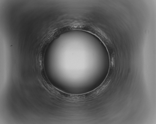 X0000115761396200911201148