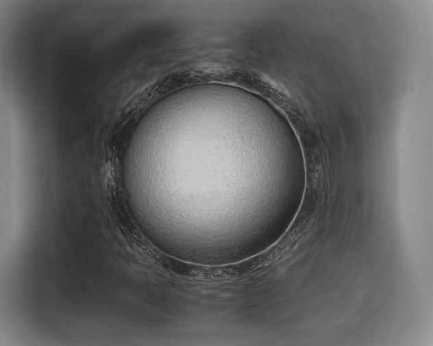 X0000115761397200911201148