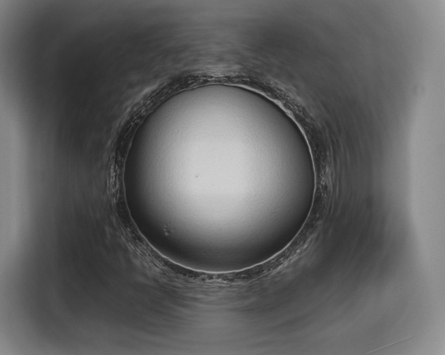 X0000115761398200911201148