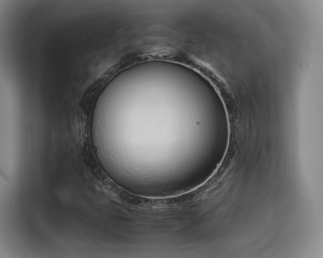 X0000115761399200911201148