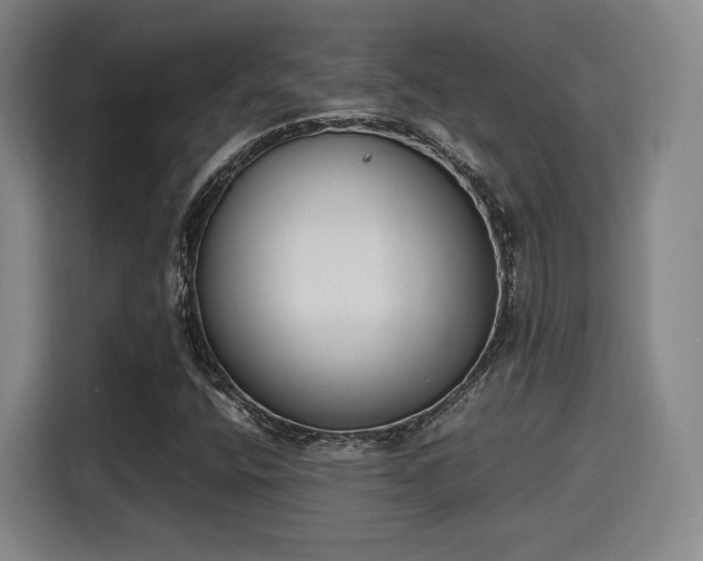 X0000115761400200911201149