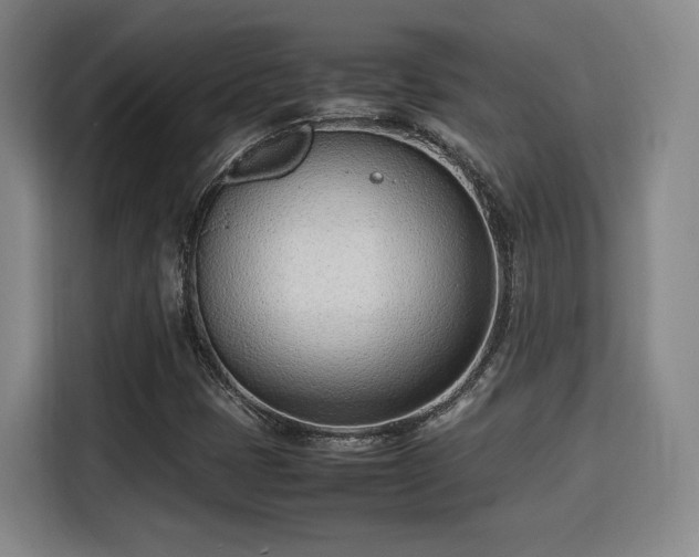 X0000115761401200911201149