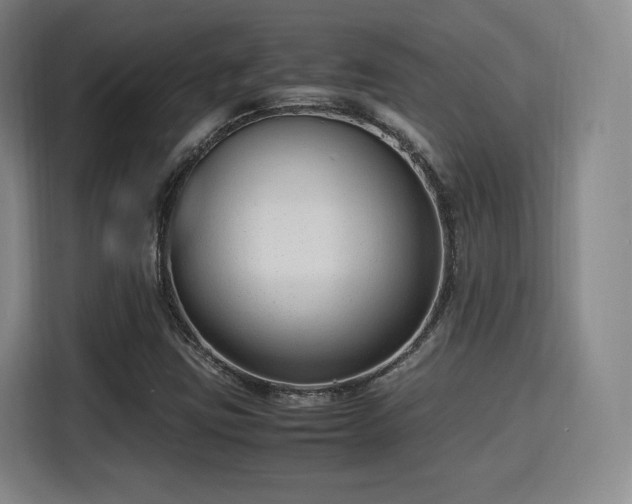 X0000115761403200911201149