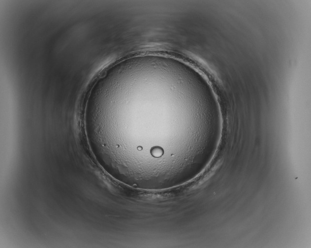 X0000115761405200911201149