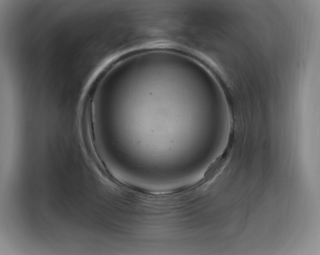 X0000115761414200911201149