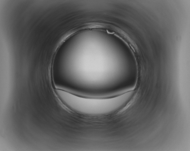 X0000115761417200911201149