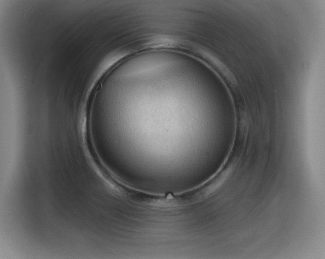 X0000115761418200911201149