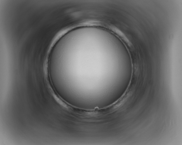 X0000115761421200911201149