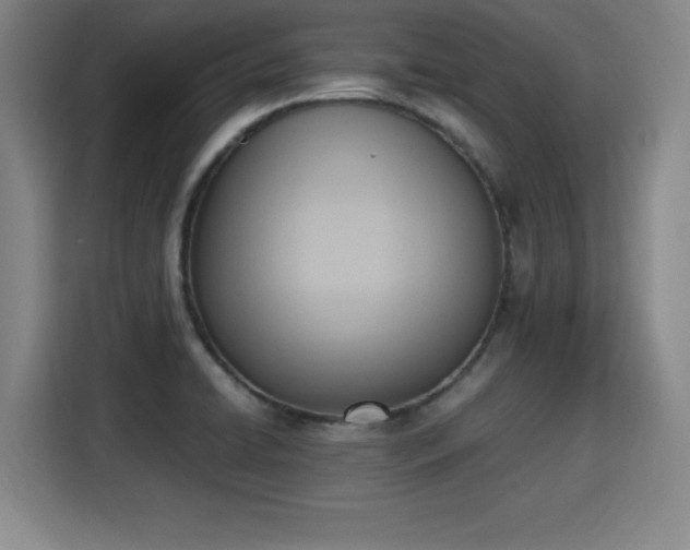 X0000115761422200911201149