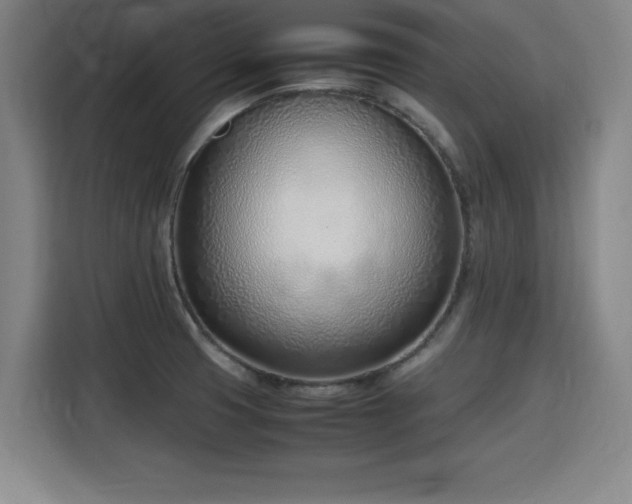 X0000115761425200911201149