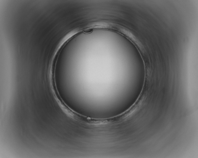 X0000115761426200911201149
