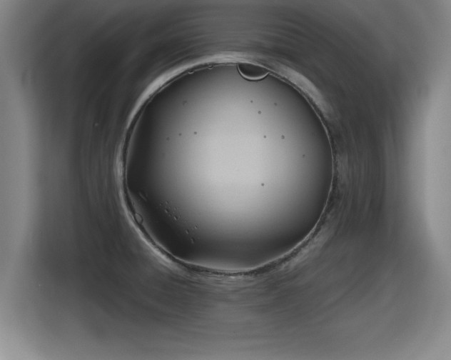 X0000115761428200911201149