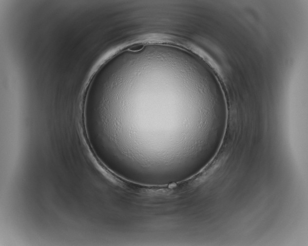 X0000115761429200911201149