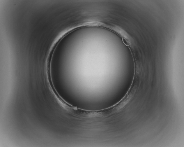 X0000115761430200911201149