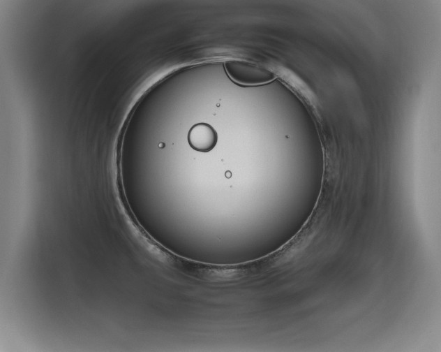 X0000115761431200911201149