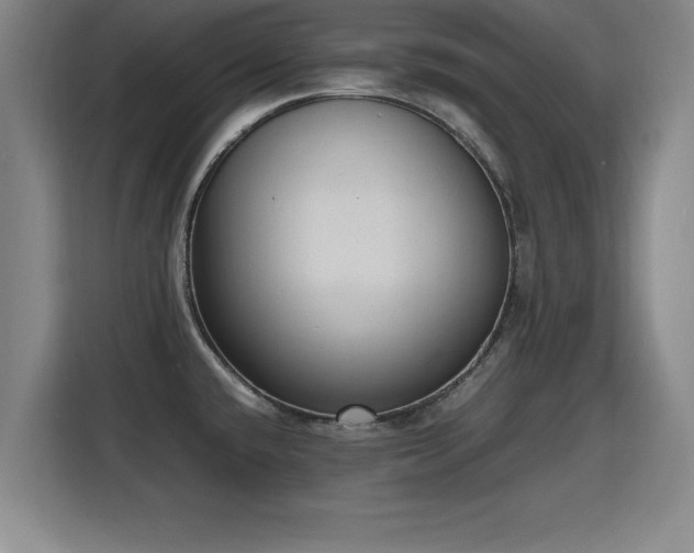 X0000115761432200911201149