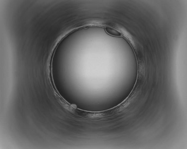 X0000115761435200911201149